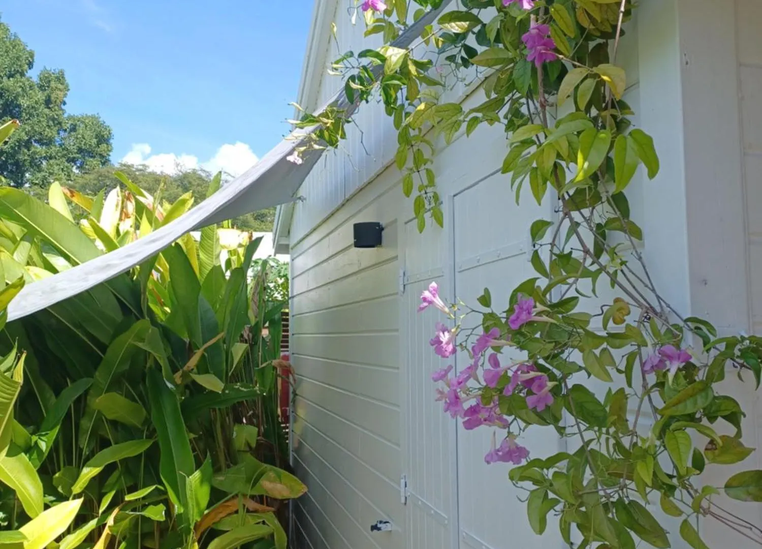 Apartment Charmant Bungalow Coco Sainte-Anne