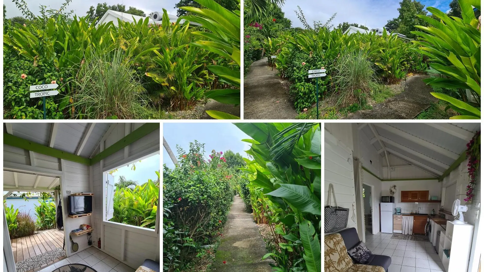 Apartment Charmant Bungalow Coco Sainte-Anne