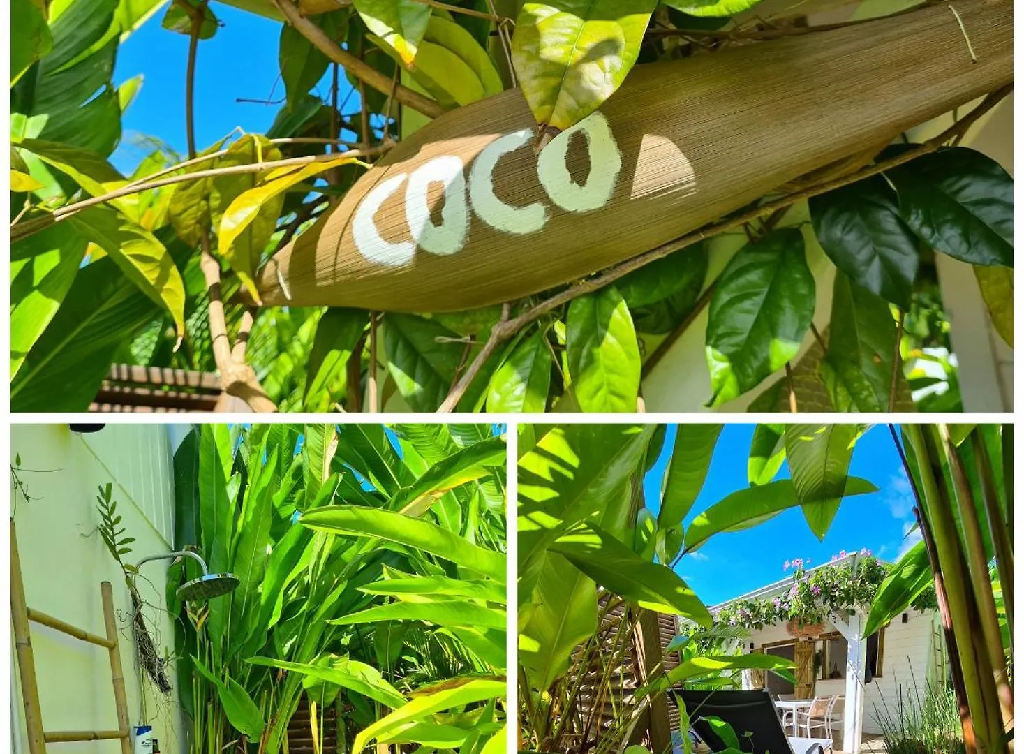Charmant Bungalow Coco Sainte-Anne  Apartment