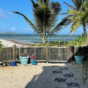 Appartement Unique : Pieds Dans L'eau Face Au Lagon, Sainte-Anne (Grande-Terre)